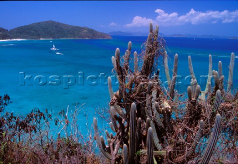 British Virgin Islands  Caribbean  Virgin Gorda  Savannah Bay