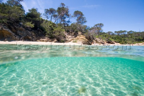 The shore as seen from a camera halfsubmerged in clear shallow water