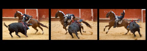 Bull fight in Valencia Spain