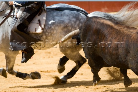 Bull fight in Valencia Spain