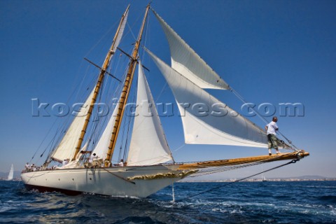 The Horus Superyacht Cup Palma 2009 Palma Mallorca  Spain From 24th to 27th June 2009 WINDROSE