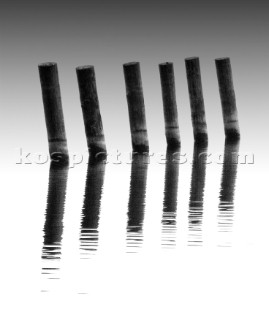 Wooden posts in a lake