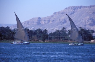Two Feluccas on the Nile, Luxor, Egypt