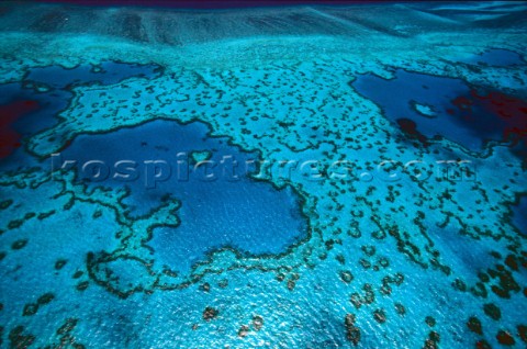 The paradise blue waters over the Coral Reef of Hamilton Island Australia