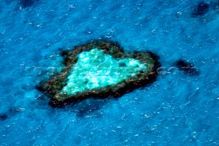 Heart Shaped Coral Reef Hamilton Island, Australia