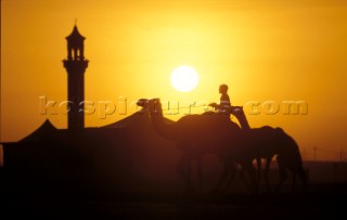 Silhouette of camel, rider and mosque at sunset in Dubai