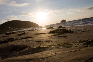 Seaweed on a sandy beach at sunset