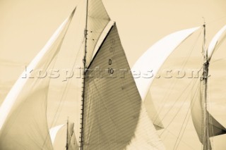 Sepia of classic yacht sails
