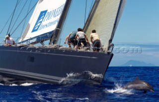 Antigua 21 02 2010  RORC 600 Caribbean  DSK Pioneer Investments.