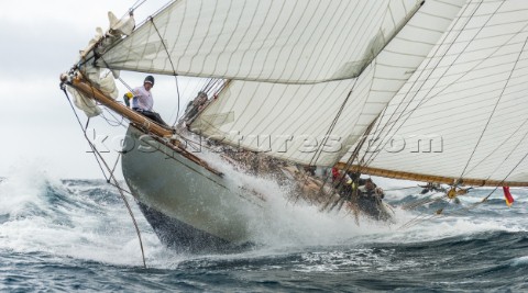 2015 Les Voiles de St Tropez HISPANIA Sail n ESP1 Class 15MJI TypeYear 15 METERS CLASS1909 Designer 