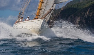HISPANIA, Sail n: D5-ESP1, Owner: FUNDACION ISLA EBUSITANA