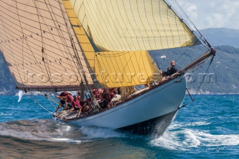 TUIGA Sail n D3 Owner YACHT CLUB DE MONACO