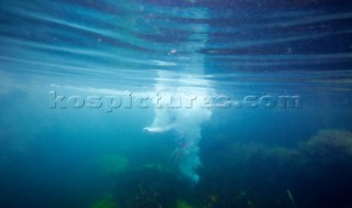 Girl jumping underwater