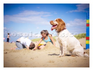 Children playing in the sand with a dog