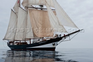 Tall ship Oosterschelde sailing