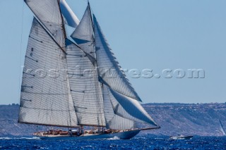 The Big Class Day Sail , SYC 2016, Schooners sailing in the Bay of Palma, 22nd of June 2016Â©jesusrenedo.com