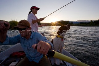 A couple and their dogs fly fish the Snake River at sunset from a drift boat near Jackson, Wyoming.  USA.