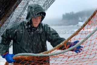 08/15/08  Crew member Nick Demmert  hauls in the net while sein fishing on Captain Larry Demmerts boat just off of the outer islands west of Prince of Whales Island in SE Alaska. This is a native fishing hole. At this time they were catching mostly humpies.