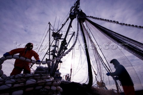 081508  Crew members Alexai Gamble Nick Demmert hauls in the net while sein fishing on Captain Larry
