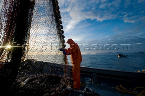 081508  Crew member  Alexai Gamble hauls in the net while sein fishing on Captain Larry Demmerts boa