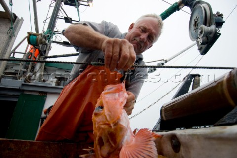 Sept 24 2008   20 miles offshore of Morro Bay California   Captain Bill Blue fishing for Black Gill 