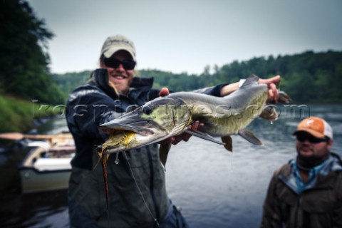 Fly fishing guide Lucky Porter landing a musky on the Flambeau River in Northern Wisonsin 