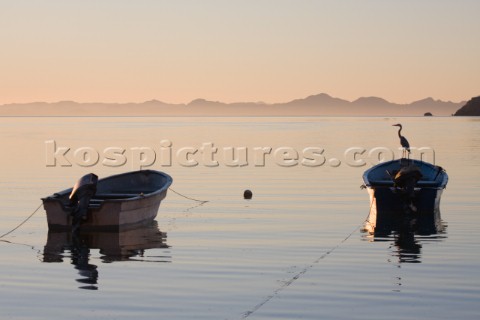 A lone heron stands on a fishing boat anchored in the Sea of Cortez off Playa Santispac in Bahia de 