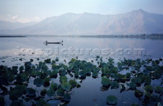 A man and a boy paddle a traditional Kashmir shikara on Dal lake in Srinagar India.