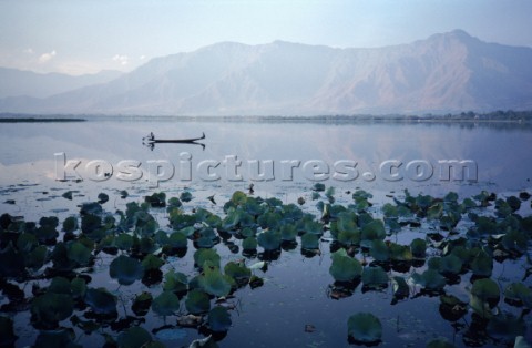 A man and a boy paddle a traditional Kashmir shikara on Dal lake in Srinagar India