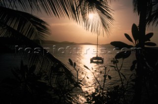Silhouetted catamaran at sunset between palm trees, St. Thomas, U.S. Virgin Islands. Nance Trueworthy/Aurora Photos/Kos Pictures